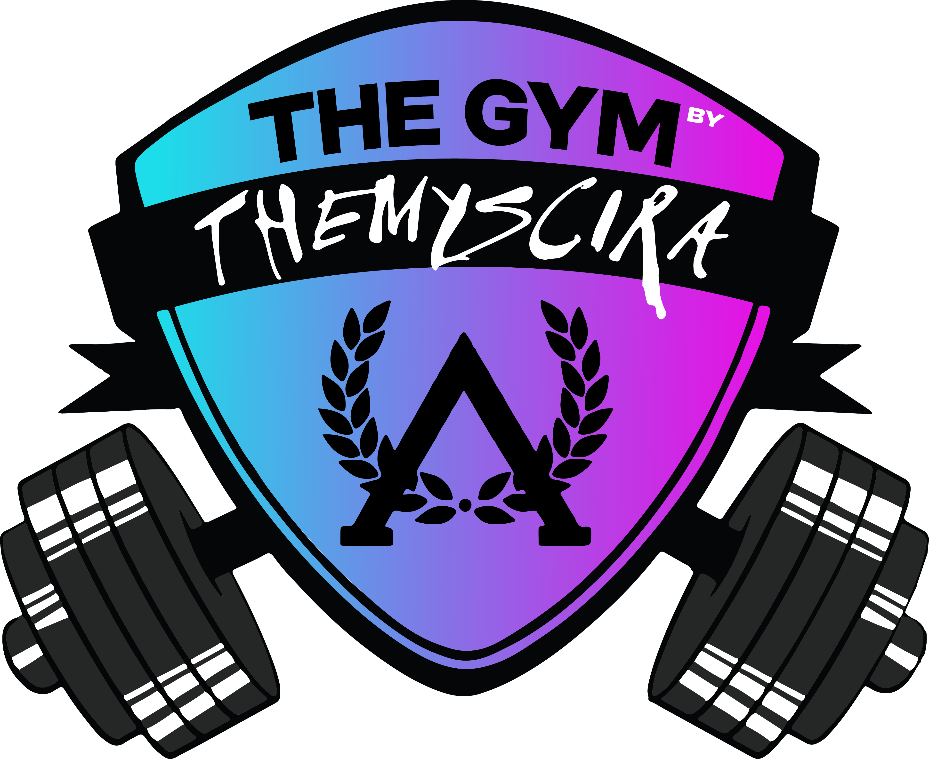 the gym by themyscira - crossfit montpellier